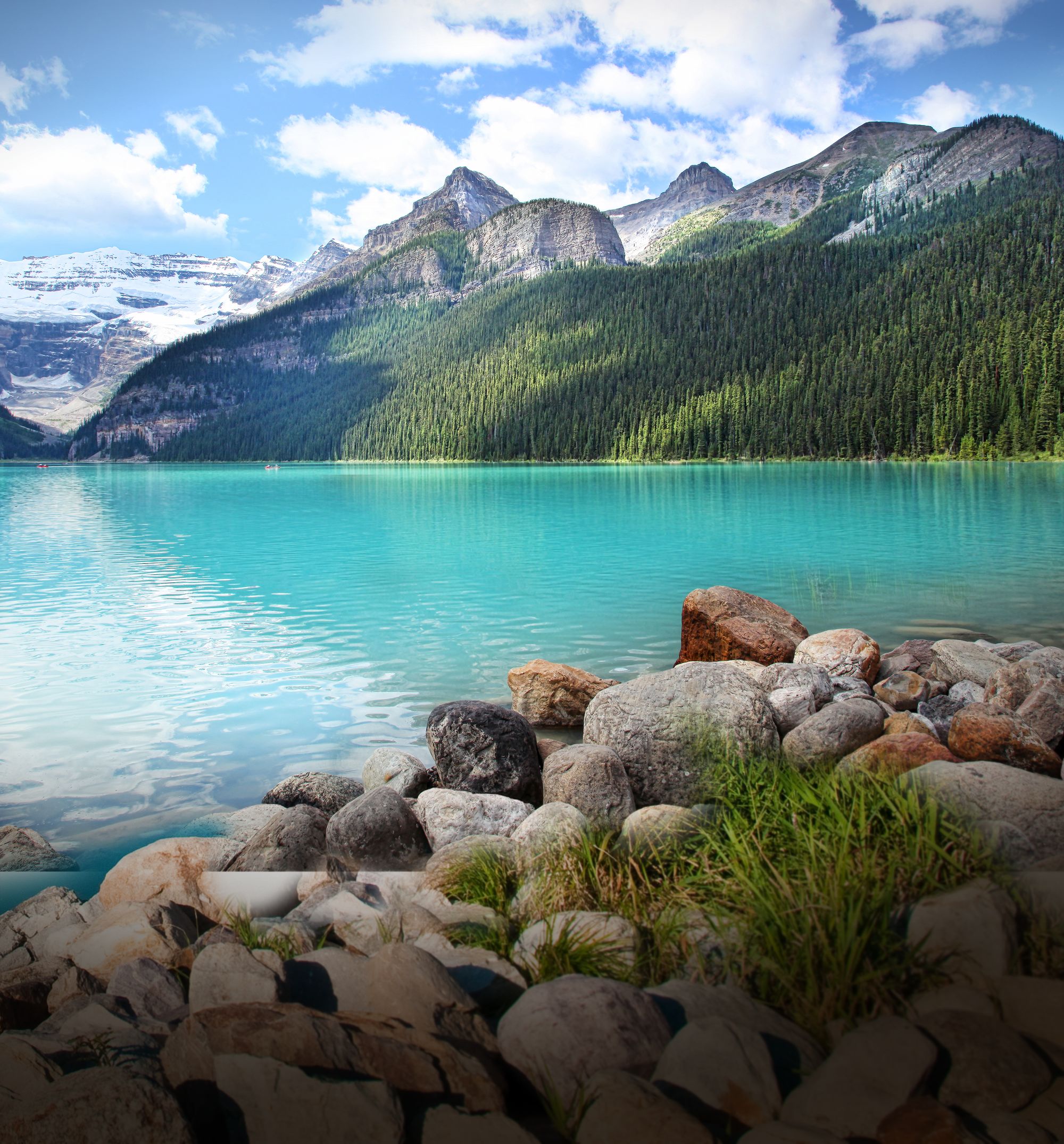 endodontics-patient-registration-calgary-ab